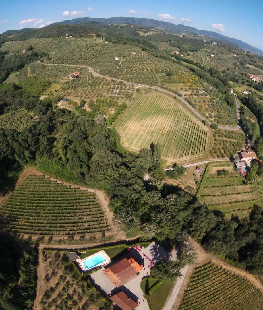 Villa Vasarri Le Piaggiole Cavriglia Italy
